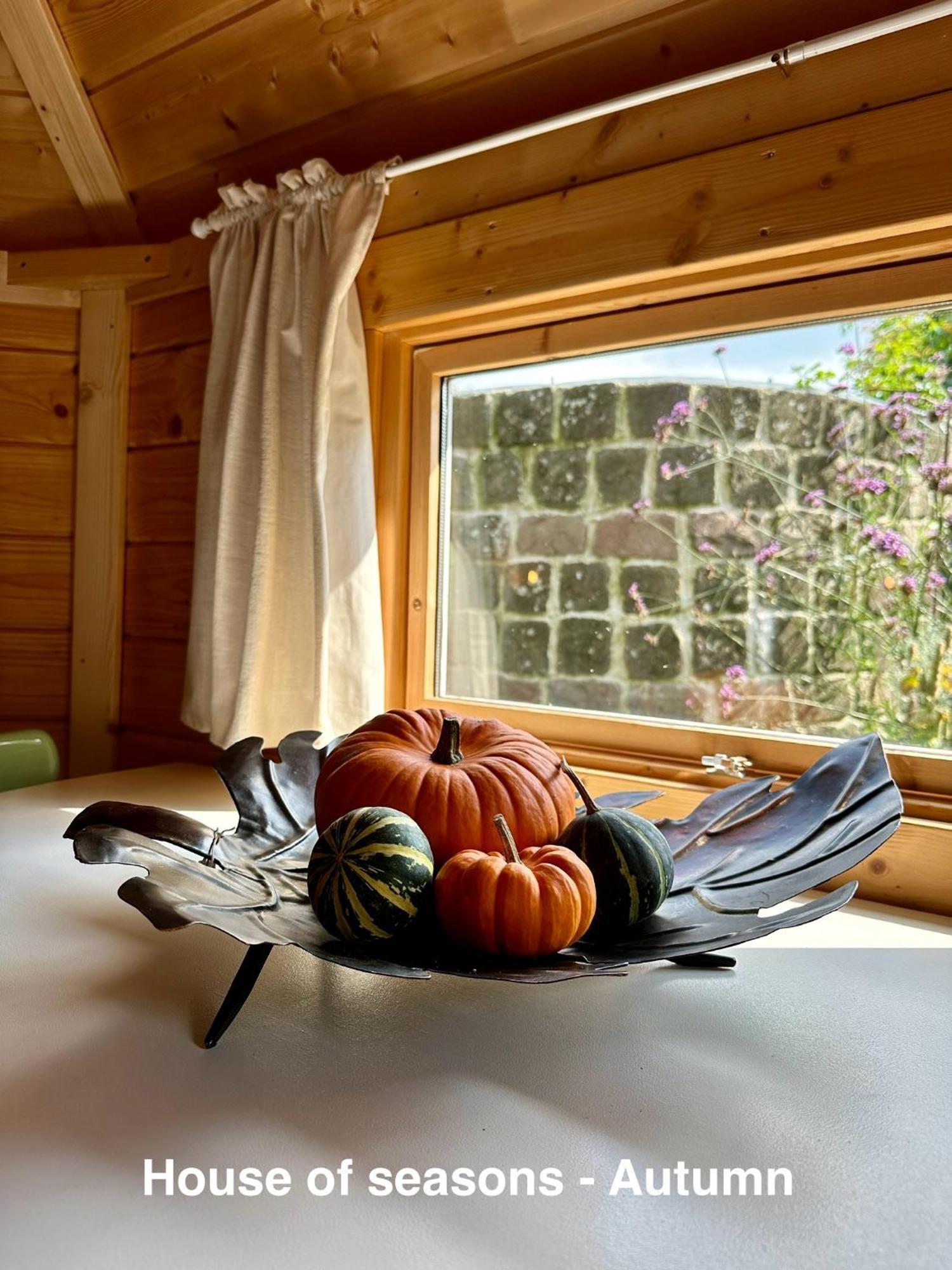 B&B Cosy Garden Alblasserdam Oda fotoğraf